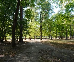 Park Konstytucji 3 Maja