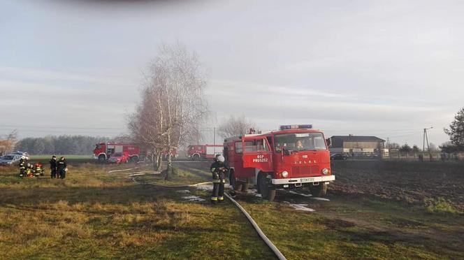 OGROMNY pożar w powiecie świeckim! Jedna osoba poszkodowana