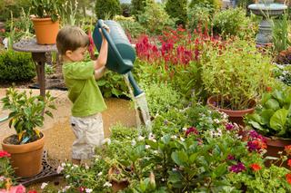 Jak urządzić bezpieczny ogród dla dzieci