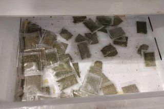 Areszt za uprawę marihuany. 