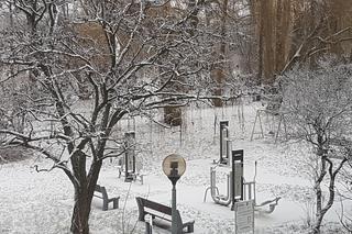 Zima w Toruniu