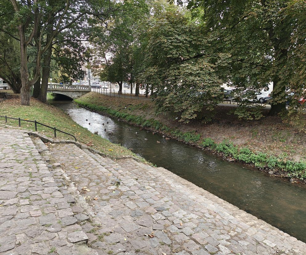 Szykuje się sprzątanie Kłodawki. Kiedy?