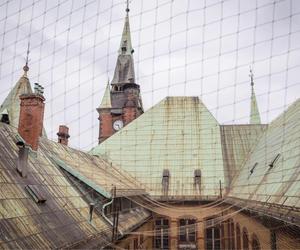 Pałac rodem z Hogwartu we Wrocławiu. Zobacz, jak wyglądają wnętrza gmachu dawnej Biblioteki Uniwersyteckiej [ZDJĘCIA]