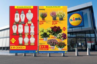 Znicze i chryzantemy za grosze w Lidlu