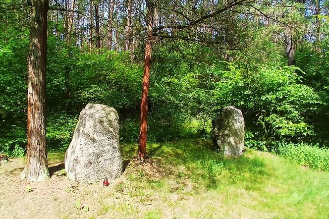Leśny cmentarz rodu von Ramin