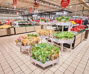 Nowość w sklepach Auchan w Warszawie. Wprowadzono specjalne wózki