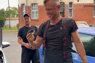 Portowa Straż Pożarna uratowała uwięzionego kotka. Był wielkości dłoni