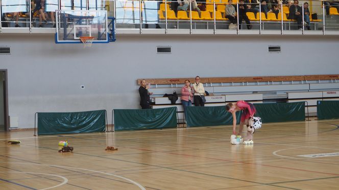 Eliminacje do Mistrzostw Polski w jeździe figurowej na rolkach, Toruń 2025