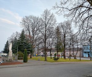 Godzinę od Warszawy leży „największy sad Europy”. To tu zabłądził sam król Kazimierz