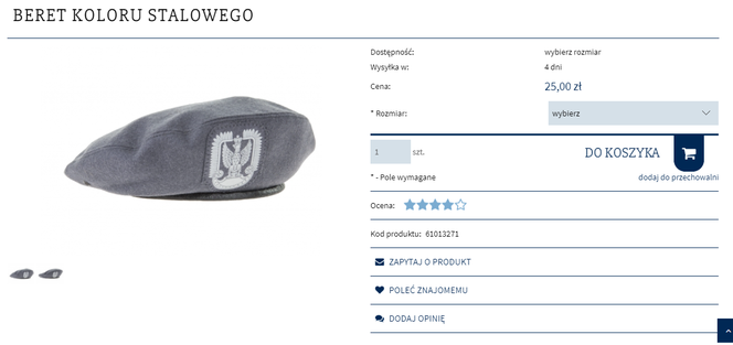 Agencja Mienia Wojskowego wyprzedaje sprzęt. To można kupić od wojska!