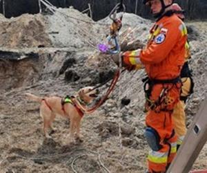 Psy ratownicze i ciężki sprzęt. Małopolscy strażacy szkolili się z działań ratowniczych podczas zapadlisk