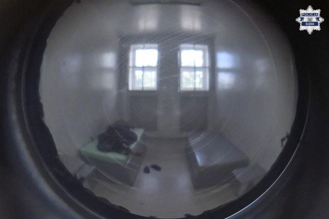 Zabił seniorkę rodu i okradł jej mieszkanie