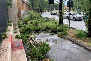 Włochy. Śmiertelna ofiara burz na północy, kilku rannych