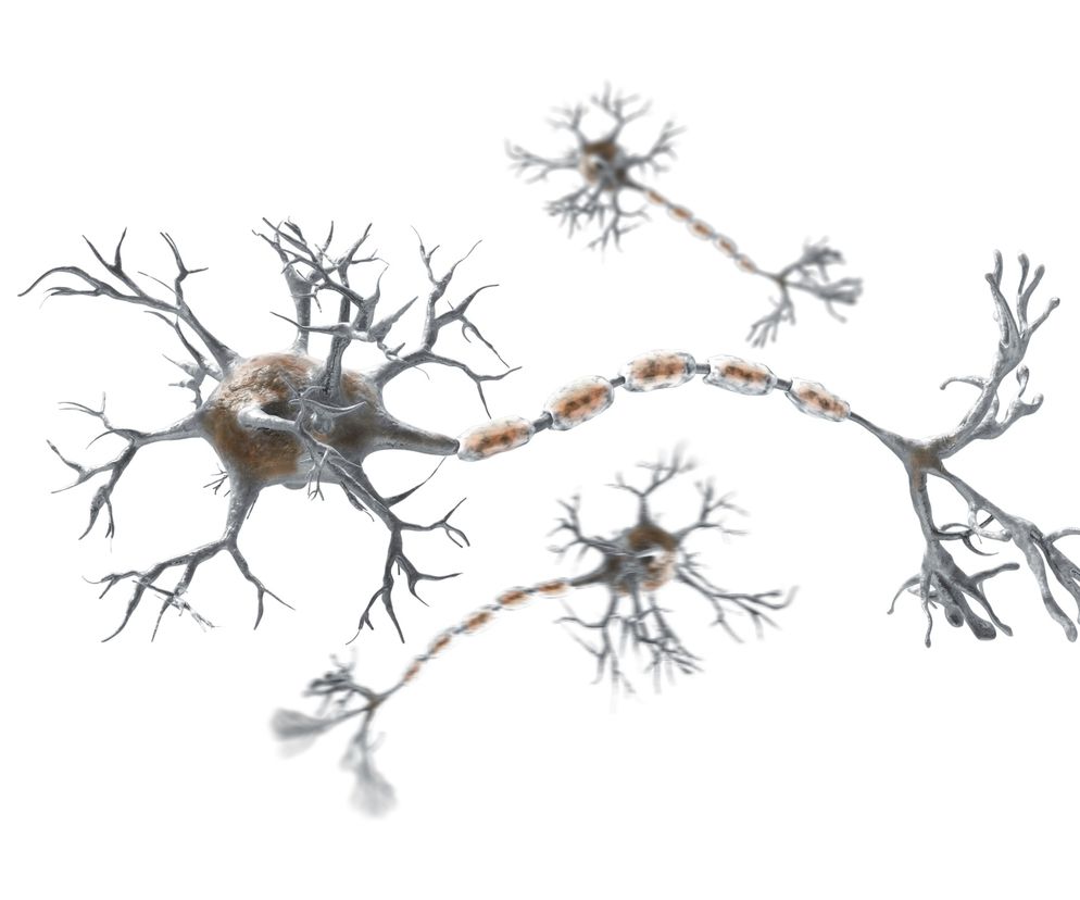 NEUROPATIA cukrzycowa to częste powikłanie cukrzycy