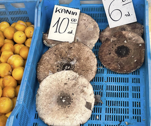 Ceny grzybów biją rekordy!