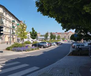 Rynek Łazarski w Poznaniu