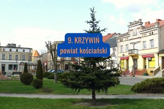9. Krzywiń
