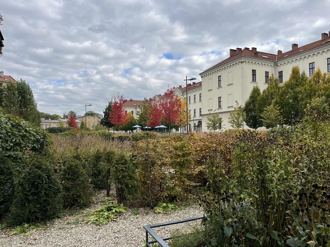 Park im. Wisławy Szymborskiej w Krakowie