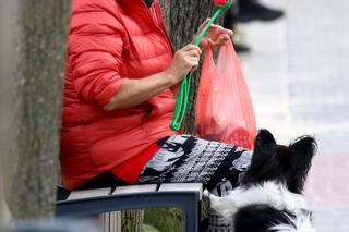 Szakira cierpliwie czekała na pancię