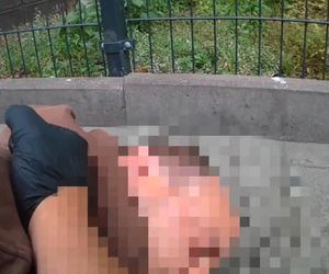 Wstrząsające nagranie obiegło sieć. Świadkowie tego dramatu nie kryli podziwu. „Szacun za to”