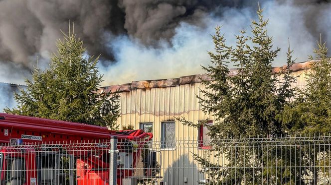 Ogromny pożar pod Zieloną Górą! Płonie hala firmy DBW. Jest pilny apel do mieszkańców