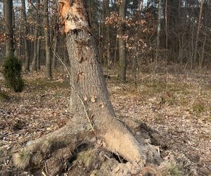  Lubelskie. Żołnierz zginął w tragicznym wypadku. Mariusz miał 32 lata. Pozostaniesz w naszej pamięci