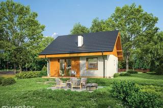 C333f Miarodajny wariant VI - wizualizacje, plany, rysunek, aranżacje, zdjęcia gotowego domu