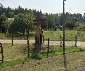  Najpiękniejsza wieś Dolnego Śląska. To miejsce przyciąga artystów 