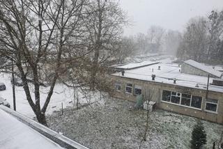 Śnieżny armagedon przeszedł przez Polskę! 15 minut grozy. Te zdjęcia mówią wszystko [20.01.2022]