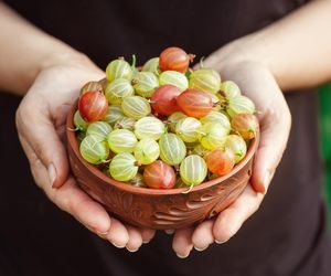 Chronią przed osteoporozą, działają moczopędnie i wspomagają układ krążenia: Te 3 produkty zjesz właśnie w czerwcu