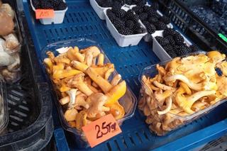 Ile kosztują kurki w Poznaniu?