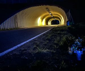 Trójkąt śmierci. Tajemnicze zgony w Miłomłynie