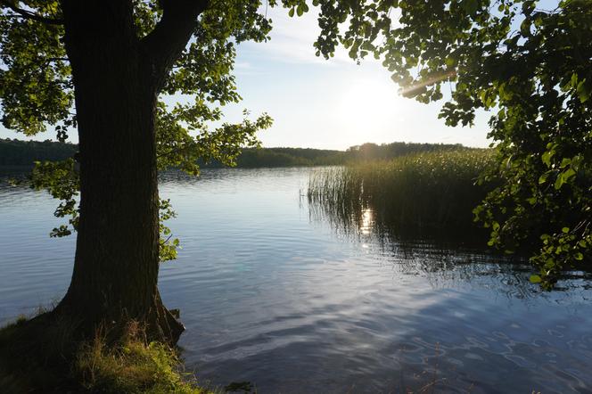 Jezioro Strzeszyńskie