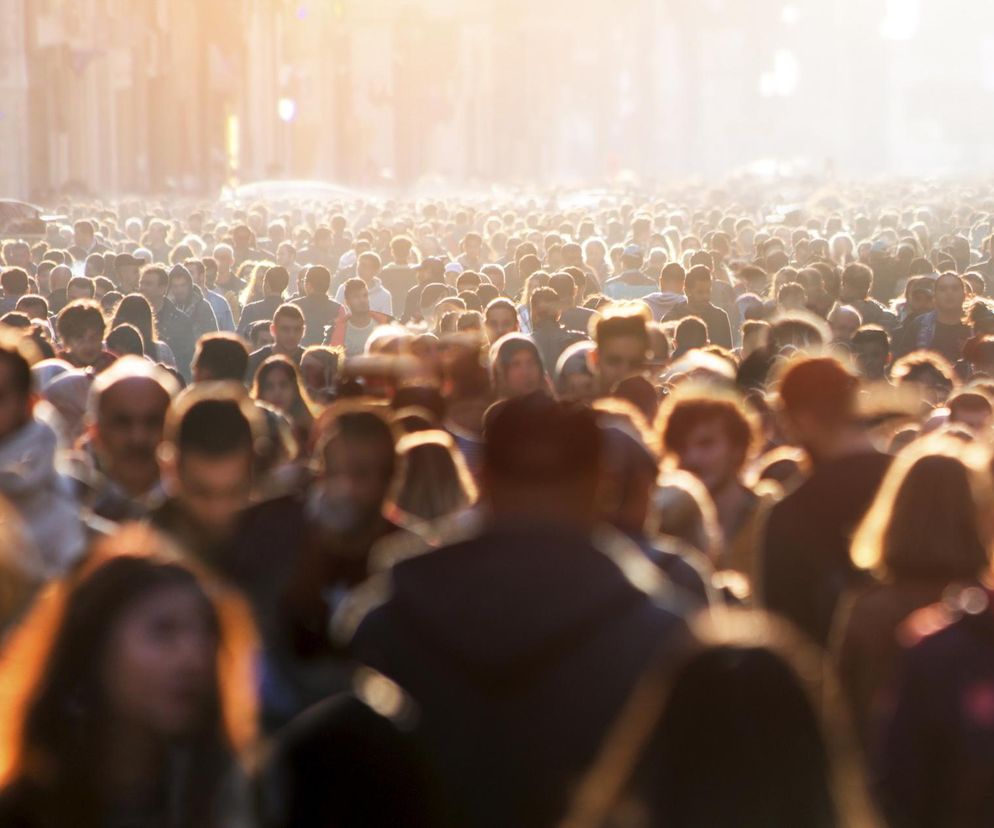 Gęstość zaludnienia w Polsce. W tych miejscowościach żyje się jak w ulu
