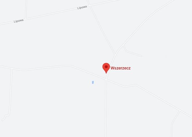Wszerzecz