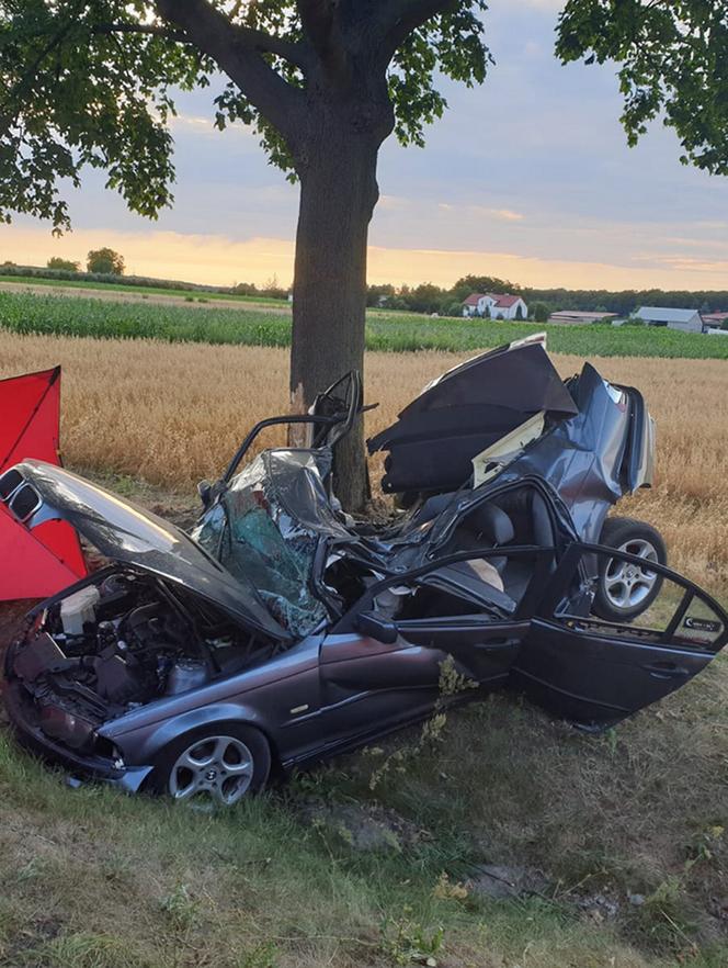 Śmiertelny wypadek pod Zgierzem. Dwóch mężczyzn zginęło w roztrzaskanym BMW. Policja szuka świadków 