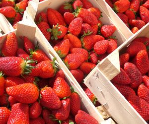 Nie kupuj truskawek w ciemno. Zwróć uwagę na te rzeczy, zanim wrzucisz je do koszyka