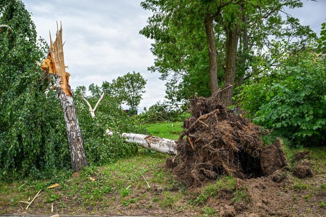Niż genueński Gabriel nad Polską. Ostrzeżenia przed potężnymi ulewami