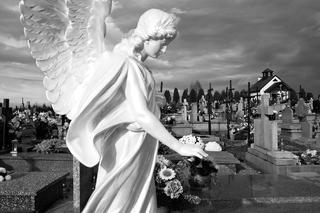 Justyna Steczkowska pokazała grób mamy. Widać go z połowy cmentarza.