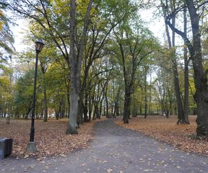 Park Lubomirskich w Białymstoku jesienią 