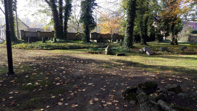Niezwykła nekropolia w Gliwicach. Ma przeszło 200 lat! [ZDJĘCIA]