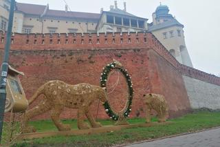 Świąteczne iluminacje w Krakowie. Kiedy w mieście pojawią się ozdoby bożonarodzeniowe? [ZDJĘCIA]