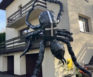 Gigantyczny pająk z plastikowych butelek ozdobił dom w Lublinie