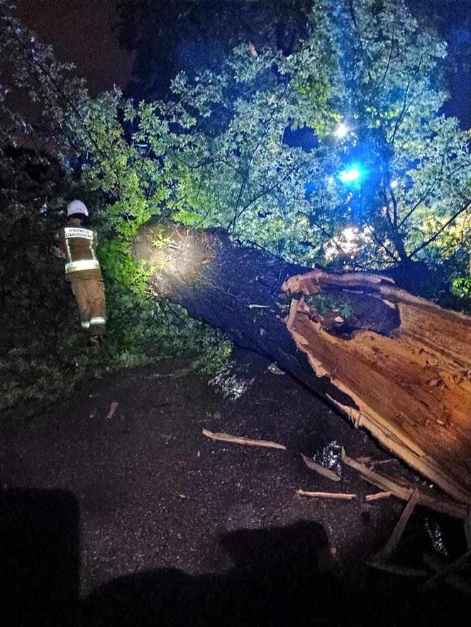 Burzowa noc w Śląskiem. Blisko 10 tys. osób bez prądu. Piorun popalił dom