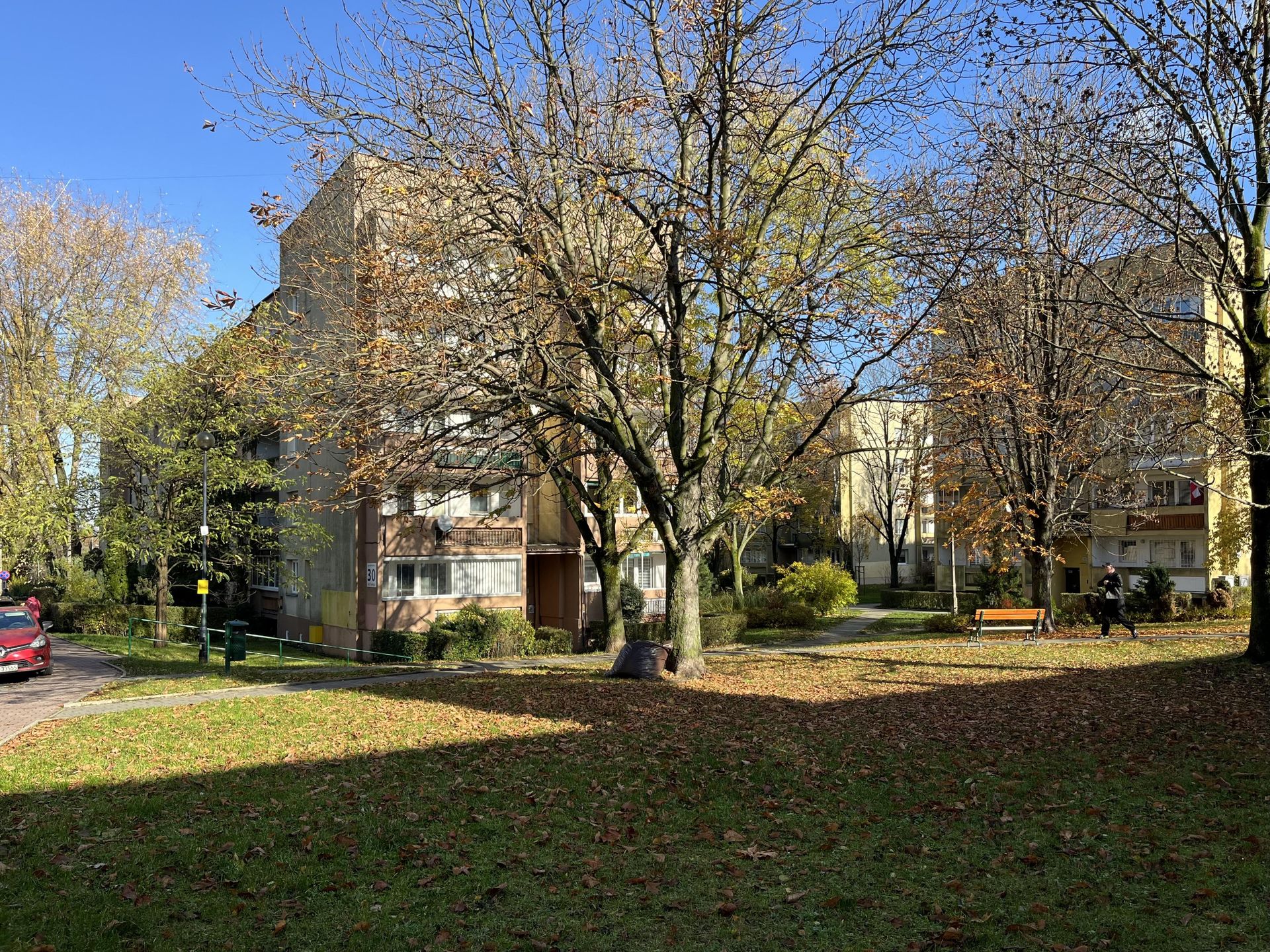 Okolica bloku na Teligi - osiedle z czasów PRL