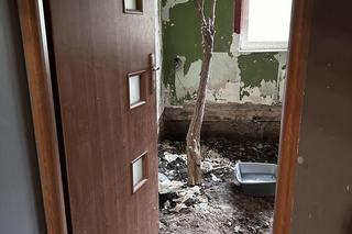 Egzotyczne zwierzęta w Gdańsku 