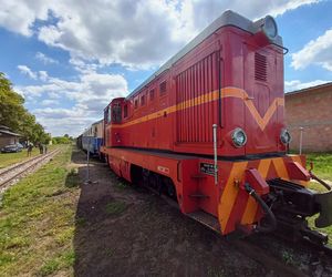 Rogowska kolej wąskotorowa. To perełka wśród zabytków techniki w Łódzkiem