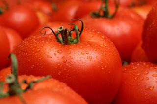 Pomidory z Lidla kontra te z Biedronki. Pomiar pestycydów dał zaskakujący wynik