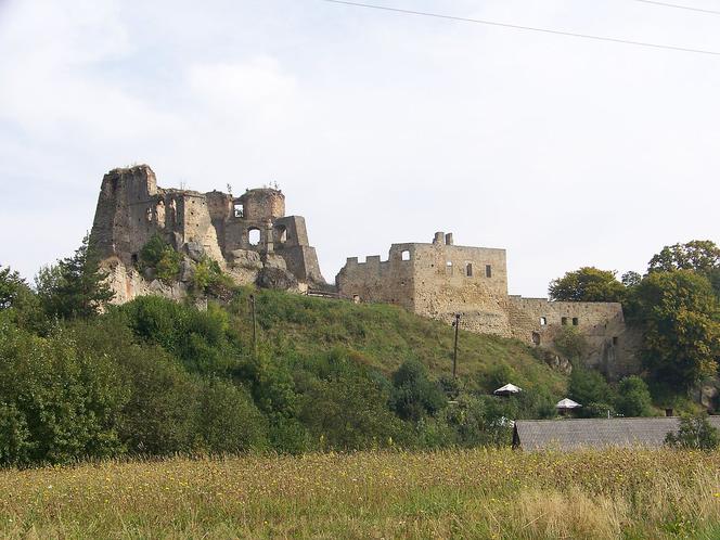 Zamek w Kamieńcu
