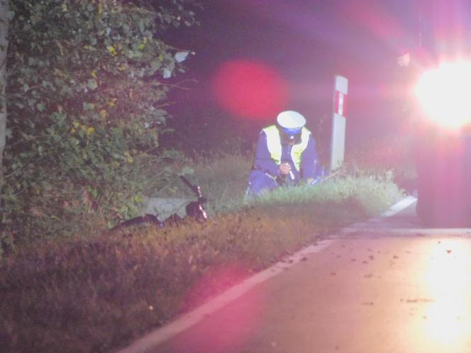 Magnuszew. Nietrzeźwy kierowca potrącił 5 osób. Są ofiary śmiertelne